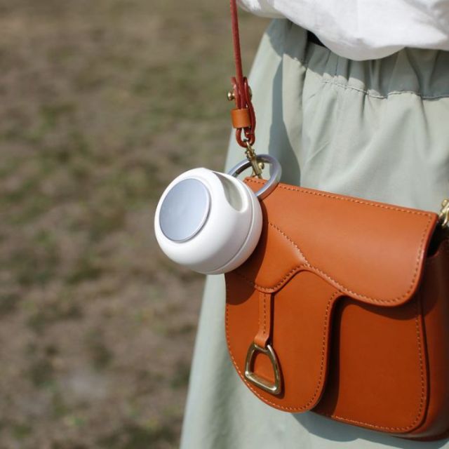 SPICE POCKET FAN