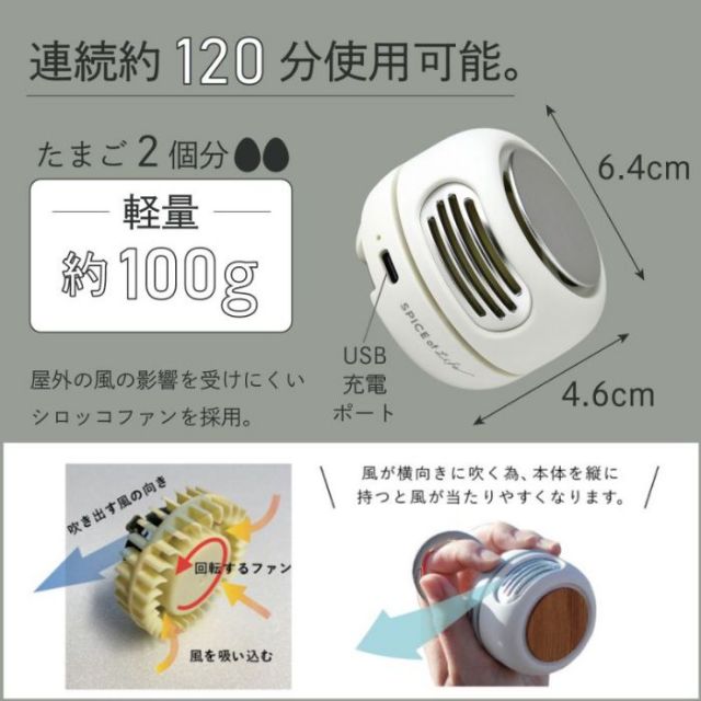 SPICE POCKET FAN