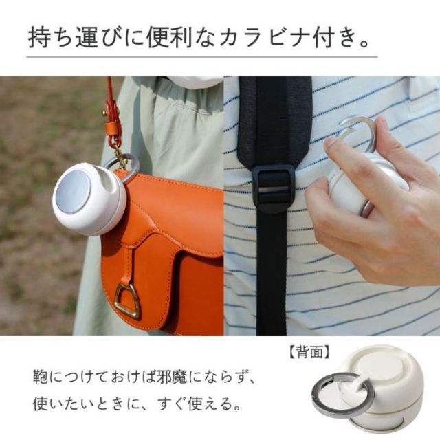 SPICE POCKET FAN