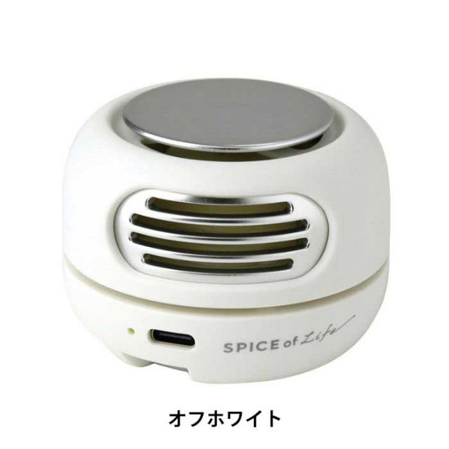 SPICE POCKET FAN
