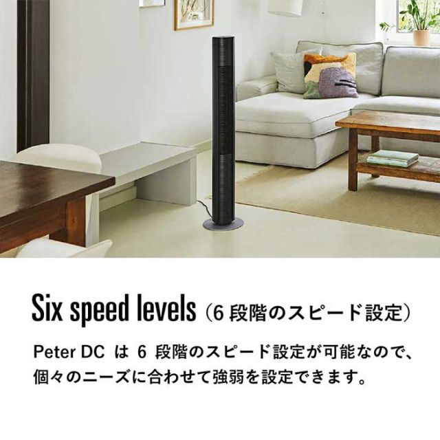 スタドラフォーム stadler form Peter DCタワーファン レザー