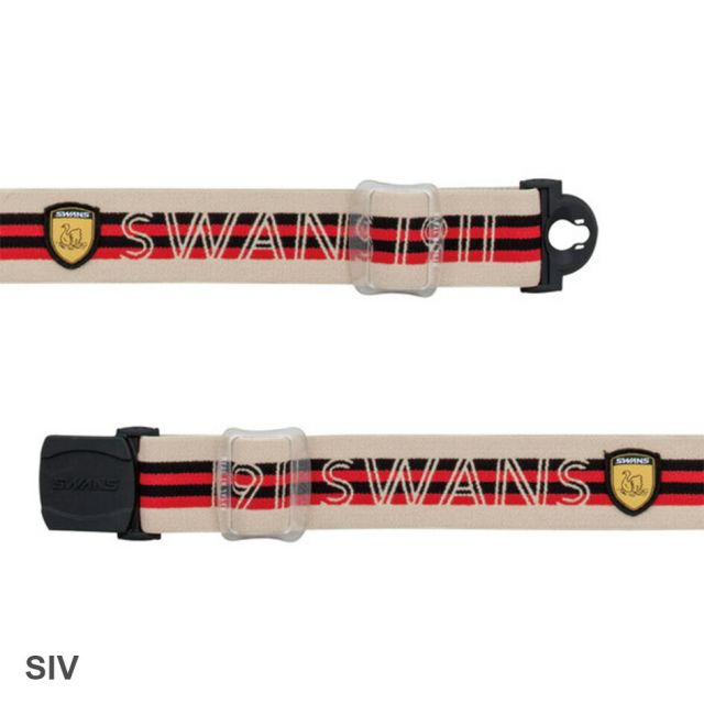 スワンズ SWANS RL-MDH-CMIT-GD RIDGELINE SIV Q 調光 MITゴールドミラー A-BLOW SYSTEM 球面ダブルレンズ ミラーインサート 眼鏡対応 ミラーインサート 日本製 MBKF SIV プレミアムアンチフォグ 撥水 グローブのまま換気 スキーゴーグル スノーボードゴーグル (251007)