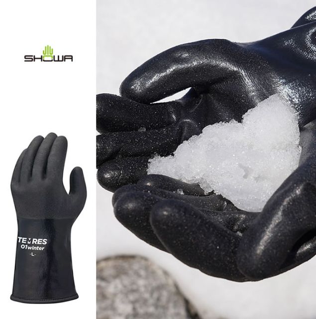 TEMRES 01 WINTER