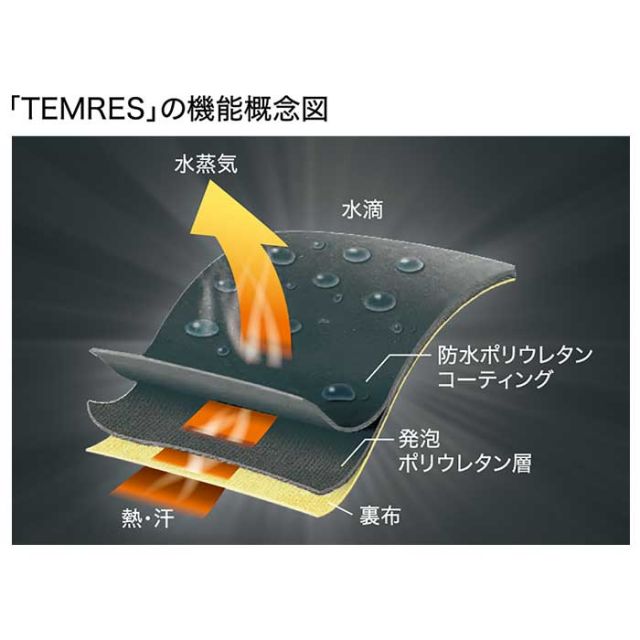 TEMRES 04 advance