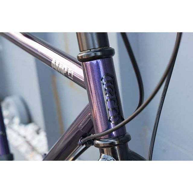 tern AMP F1