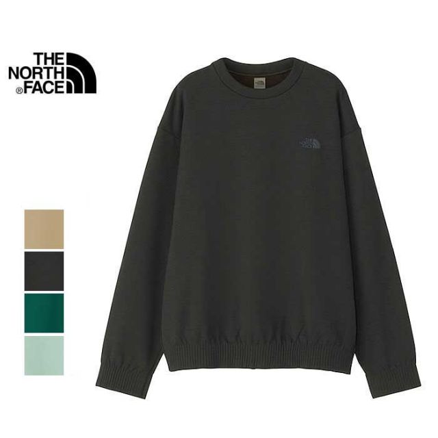 カットソー THE NORTH FACE NL72102 RALLYON ROCK CREW ラリーオンロッククルー メンズ  ノースフェイス (230910)