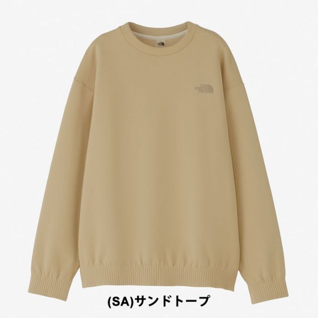 カットソー THE NORTH FACE NL72102 RALLYON ROCK CREW ラリーオンロッククルー メンズ  ノースフェイス (230910)