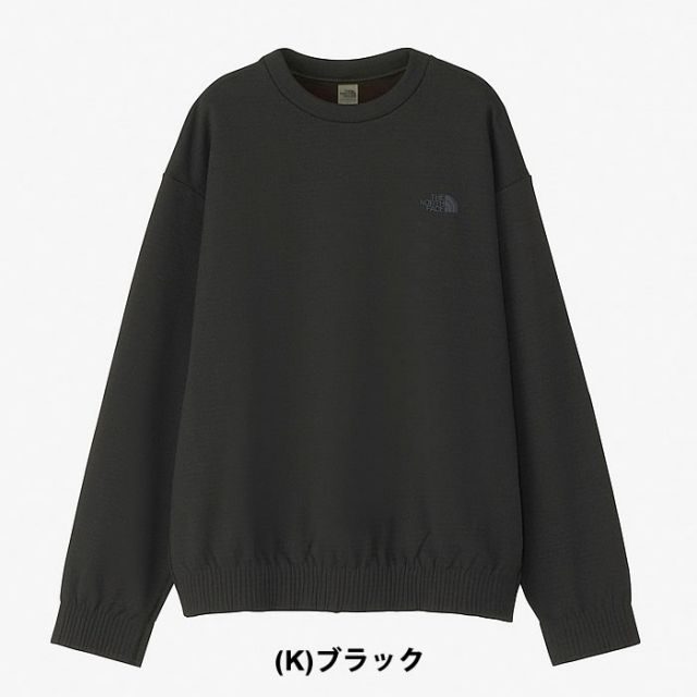 カットソー THE NORTH FACE NL72102 RALLYON ROCK CREW ラリーオンロッククルー メンズ  ノースフェイス (230910)