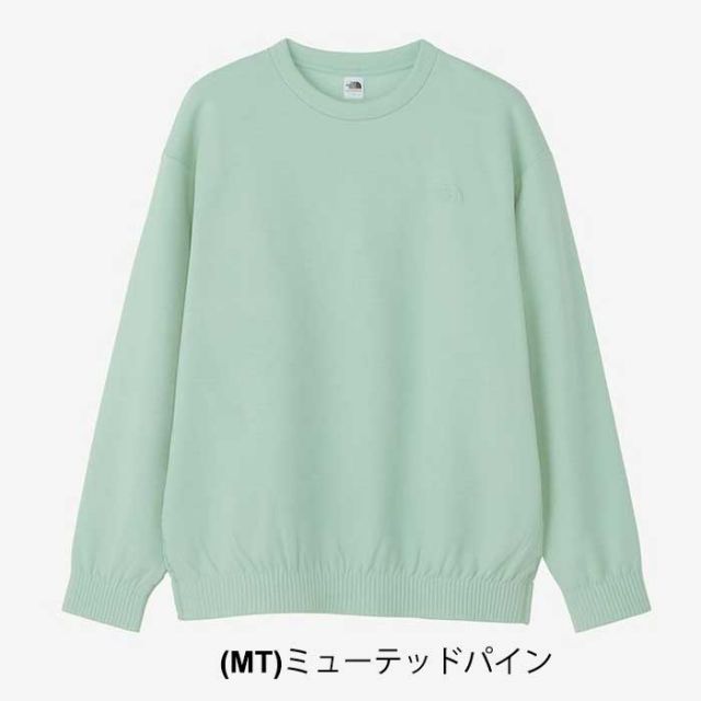 カットソー THE NORTH FACE NL72102 RALLYON ROCK CREW ラリーオンロッククルー メンズ  ノースフェイス (230910)