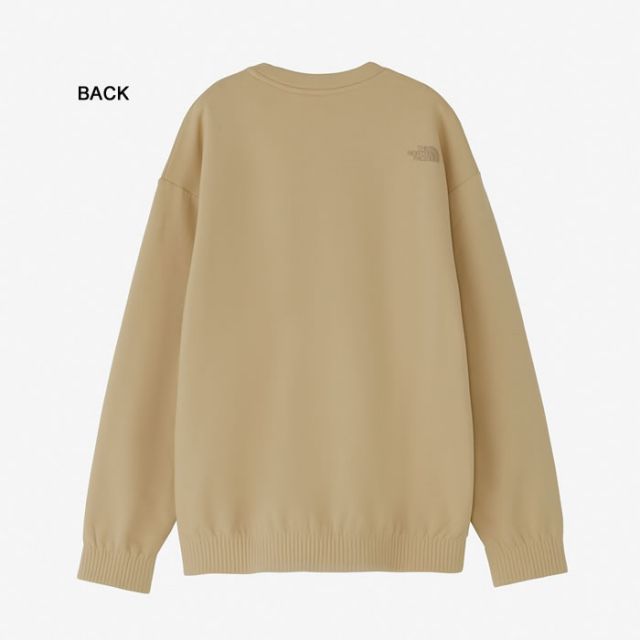 カットソー THE NORTH FACE NL72102 RALLYON ROCK CREW ラリーオンロッククルー メンズ  ノースフェイス (230910)