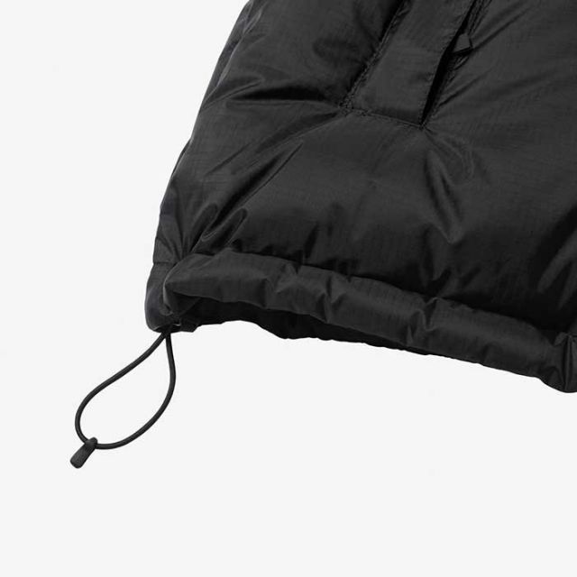 THE NORTH FACE ND92332 GTX NUPTSE JACKET