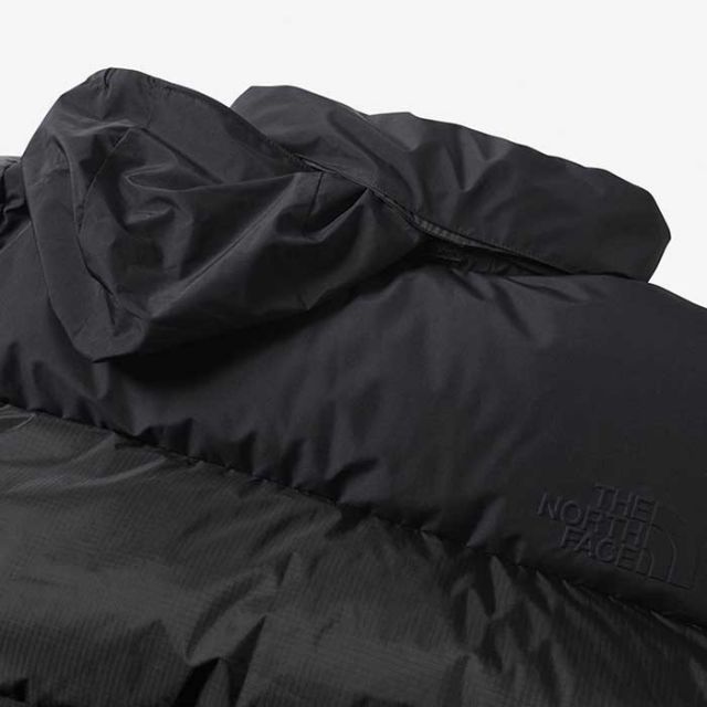 THE NORTH FACE ND92332 GTX NUPTSE JACKET