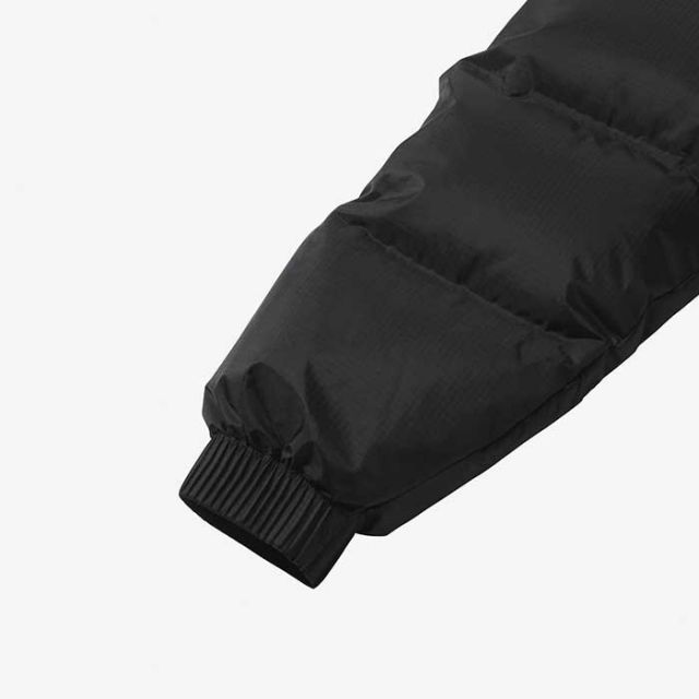 THE NORTH FACE ND92332 GTX NUPTSE JACKET