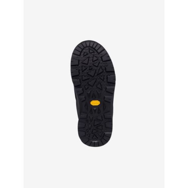 THE NORTH FACE NF52280 NSE WP LOGO SHORT