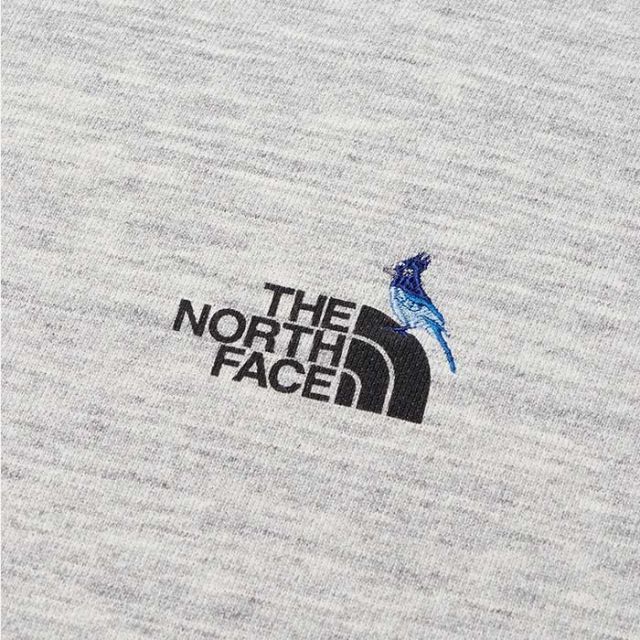 THE NORTH FACE NT12440 ZOO PICKER HOODIE