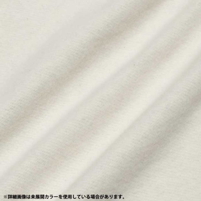 THE NORTH FACE  アウトドア リアビューフルジップフーディ レディース Rearview Full Zip Hoodie トップス スウェット シャツ キャンプ レジャー NTW12442  ノースフェイス (240125)
