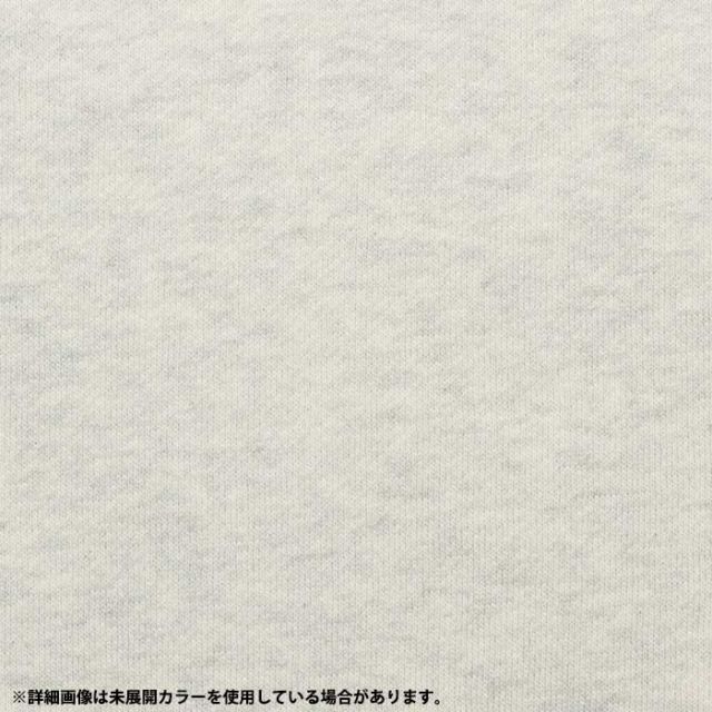 THE NORTH FACE  アウトドア リアビューフルジップフーディ レディース Rearview Full Zip Hoodie トップス スウェット シャツ キャンプ レジャー NTW12442  ノースフェイス (240125)