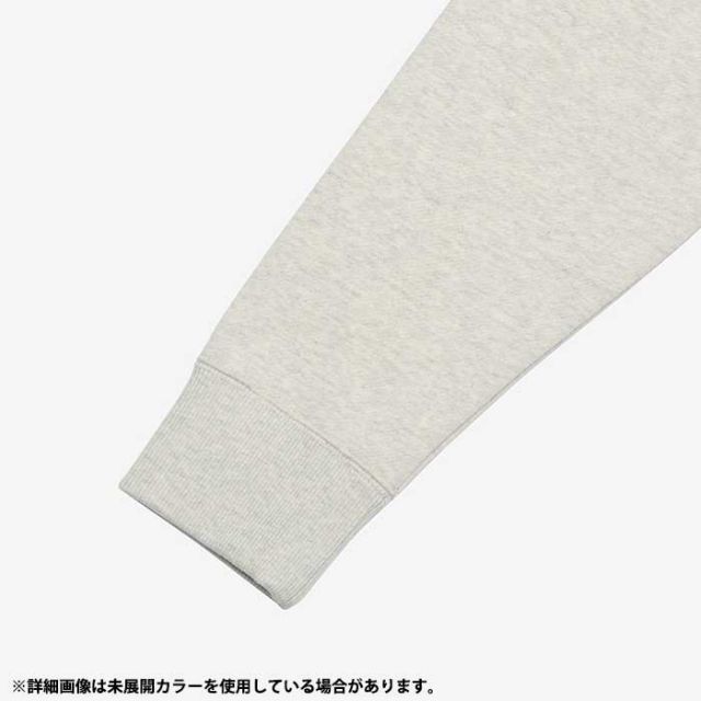 THE NORTH FACE  アウトドア リアビューフルジップフーディ レディース Rearview Full Zip Hoodie トップス スウェット シャツ キャンプ レジャー NTW12442  ノースフェイス (240125)