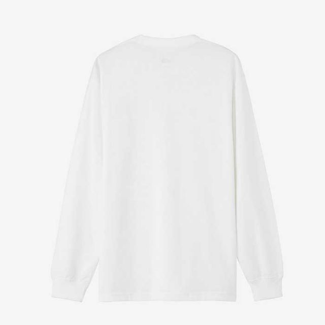 ザ・ノース・フェイス メンズ 長袖 ロンt  tシャツ THE NORTH FACE NT32441 ロングスリーブ  スモールボックス ロゴティー   ノースフェイス (240204) カットソー トップス ロンティー