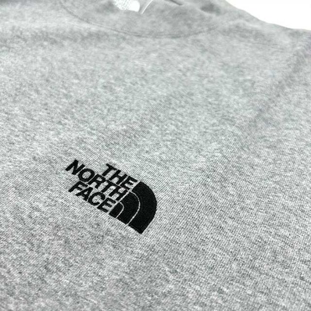 THE NORTH FACE NT32401 S/S ING TEE