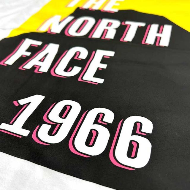 THE NORTH FACE NT32432 S/S TNF FLYER TEE