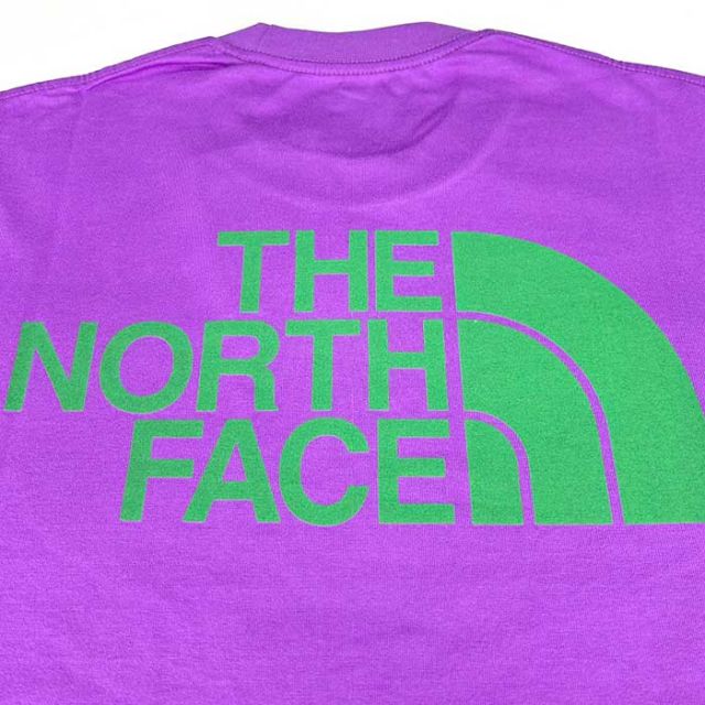 THE NORTH FACE NT32434 S/S S CL SCHEME T