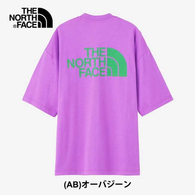 THE NORTH FACE NT32434 S/S S CL SCHEME T