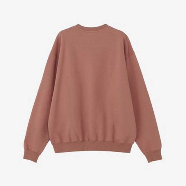 THE NORTH FACE NT62461 ROCK STEADY CREW