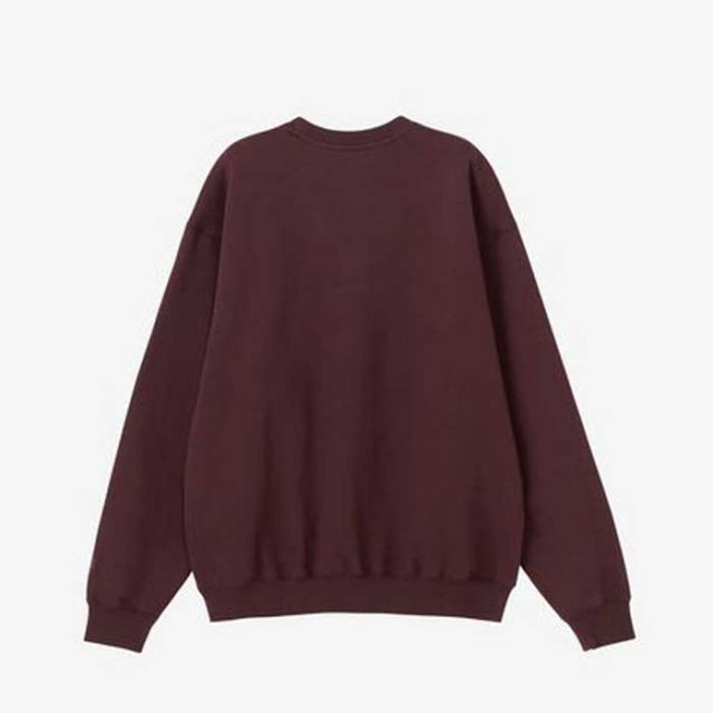 THE NORTH FACE NT62461 ROCK STEADY CREW