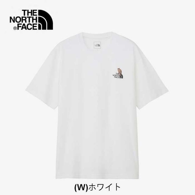 ザ・ノース・フェイス 半袖Tシャツ THE NORTH FACE NT32534 S/S ZOO PICKER TEE Tシャツ 半袖  メンズ UVカット ロゴ カポック サステナブル ツシマヤマネコ 刺繍 リラックスシルエット メール便(2502)