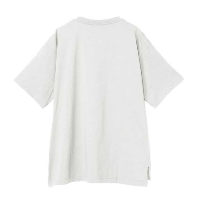 THE NORTH FACE NTW32541 SS FD RELAX COTN T