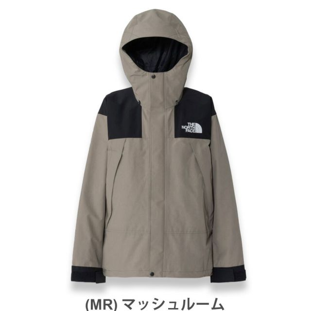 THE NORTH FACE NP62510 MOUNTAIN JACKET