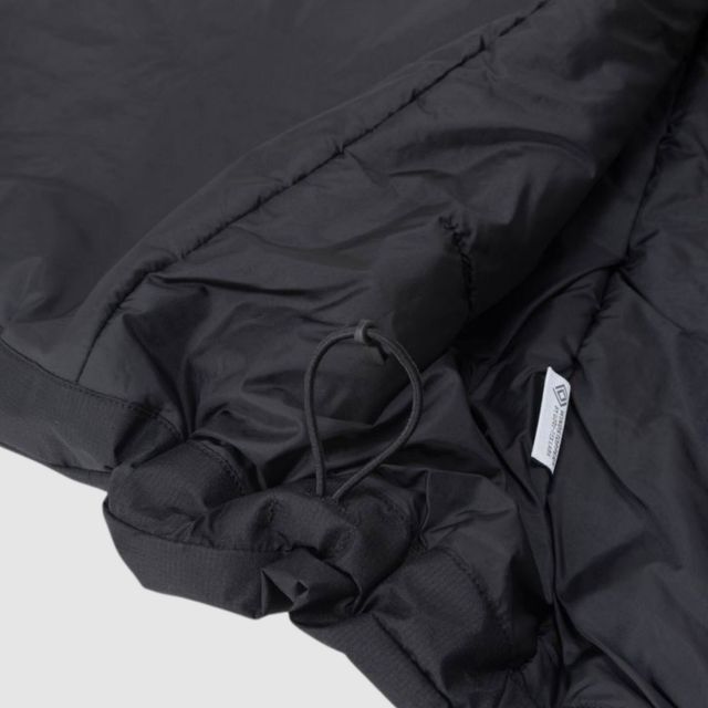 THE NORTH FACE NY82580 GTX AXION INS VEST