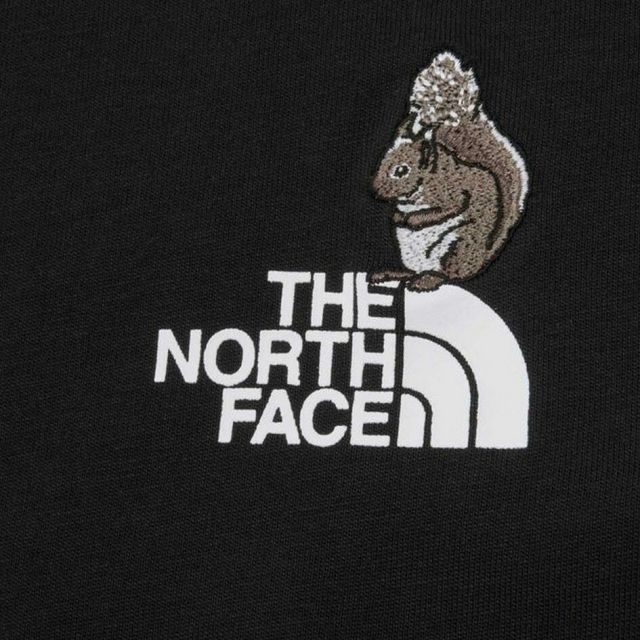ザ・ノース・フェイス ロンT 長袖Tシャツ ロングスリーブフラッシュドライズーピッカーティー ユニセックス NT82645 THE NORTH FACE 速乾 綿100% ニホンリス刺繍 メンズ レディース アウトドア ライフスタイル ギフト LS FD ZOO PICKER T SP XL