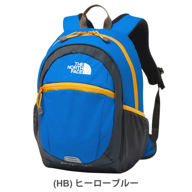 THE NORTH FACE NMJ72360 K SMALL DAY