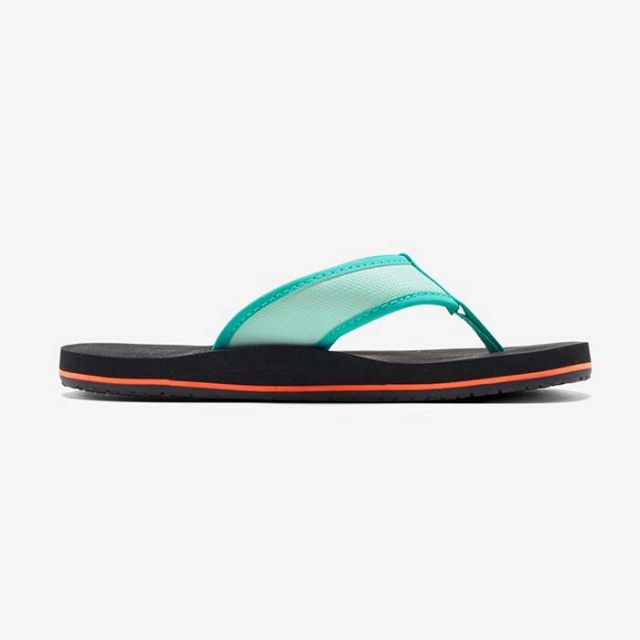 ザ・ノース・フェイス サンダル キッズ THE NORTH FACE NFJ02451 K BC FLIP-FLOP ベース キャンプ フリップ フロップ 女の子 男の子 ユニセックス ビーチサンダル トングサンダル 靴 スリッパ プール 海 EVA ブラック ブルー 19cm - 22cm 春夏  (240414) 子供ノースフェイス