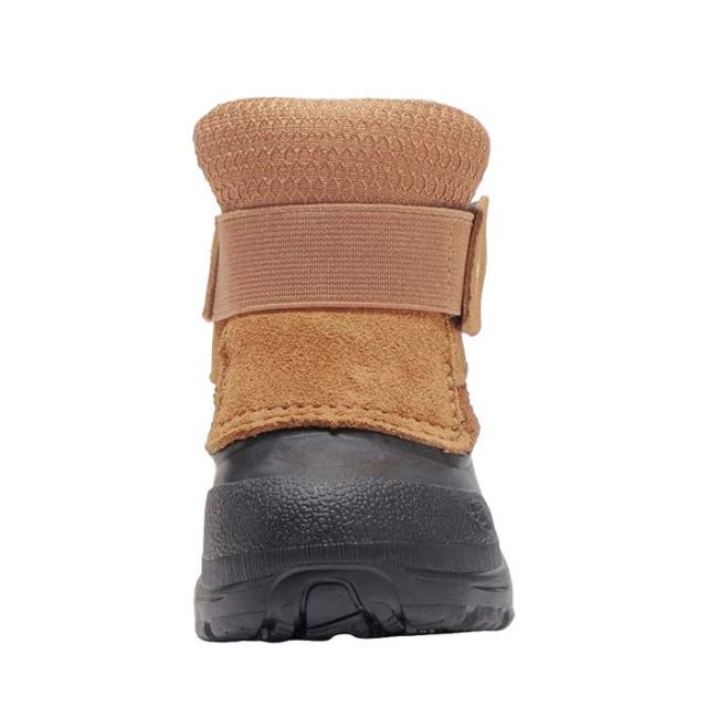 ザ・ノース・フェイス ウィンターブーツ トドラー THE NORTH FACE NFB02470 T ALPENGLOW II TT トドラー アルペン グロー II スノーブーツ キッズ ジュニア 子供