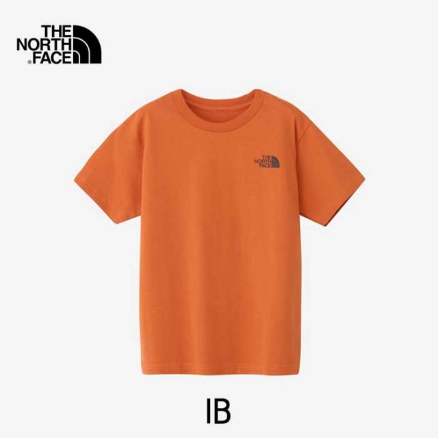 THE NORTH FACE NTJ32538 S/S BACK SQU T