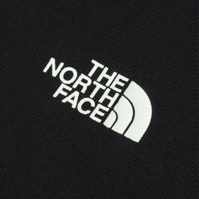THE NORTH FACE NTJ32578 S/S BIG ROOT TEE