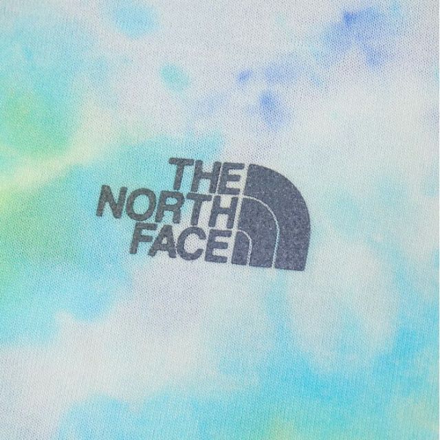 ザ・ノース・フェイス tシャツ 半袖 THE NORTH FACE NTJ32579 S/S NOVELTY BIG ROOT T ショートスリーブノベルティビッグルートティー 半袖 ジュニア 子供服 トップス メール便(2502)