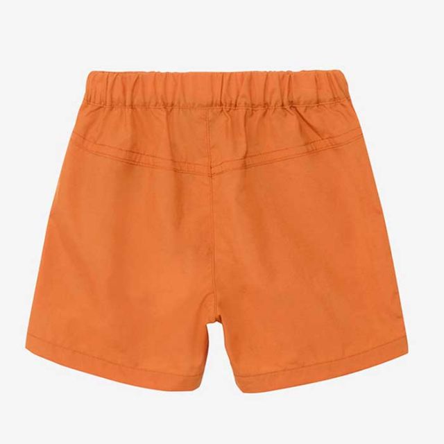 THE NORTH FACE NBB42530 B CLASS V SHORT