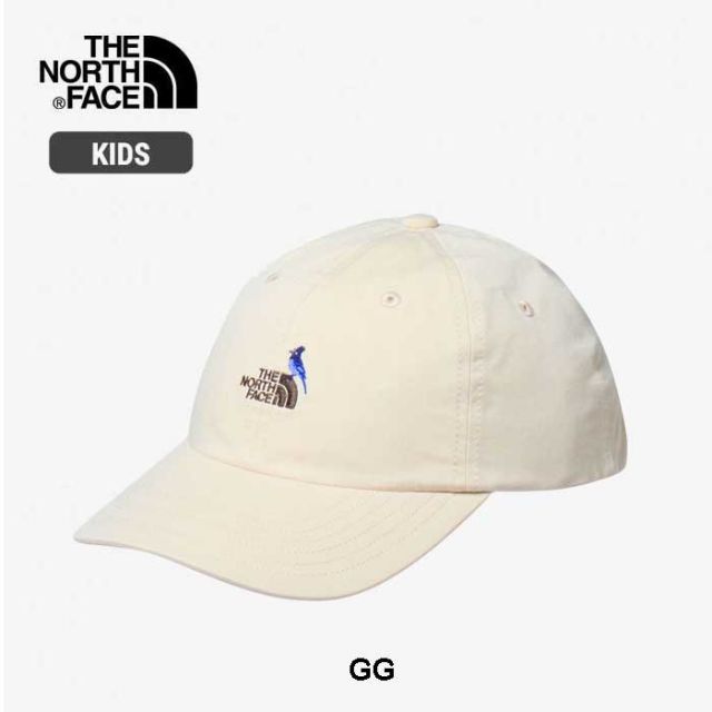 THE NORTH FACE NNJ02407 K SMALL LOGO CAP