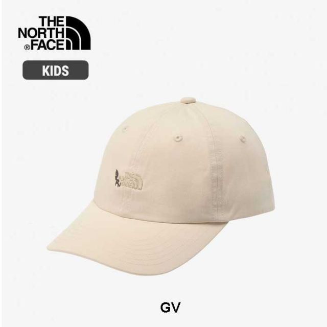 THE NORTH FACE NNJ02407 K SMALL LOGO CAP