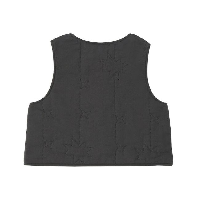 THE NORTH FACE NYB82513 B QUILTING VEST