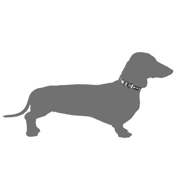 ウルフギャング 犬 首輪 小型犬用 WOLFGANG [ WC-001 ] COLLAR (S) カラー おしゃれ 散歩 人気 おすすめ  WOLFGANG MAN & BEAST [メール便]