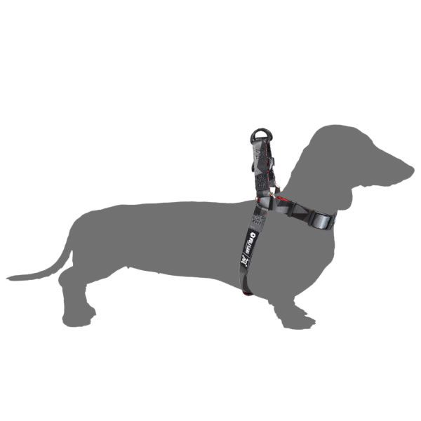 ウルフギャング 小型犬用 ハーネス WOLFGANG [ WH-001 ] HARNESS (S) 胴輪 おしゃれ 散歩 人気 おすすめ WOLFGANG MAN & BEAST [メール便][230913]