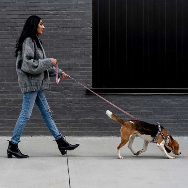 WOLFGANG WL-002 LEASH M