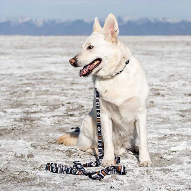 WOLFGANG WL-002 LEASH M