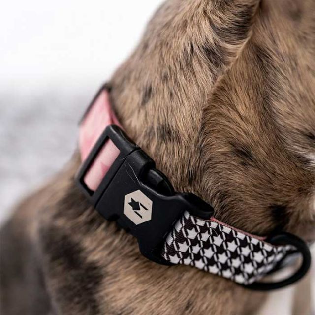 WOLFGANG WC-001 COLLAR S