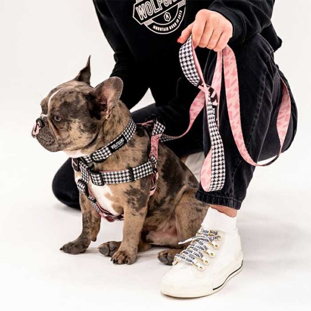 WOLFGANG WH-001 HARNESS S